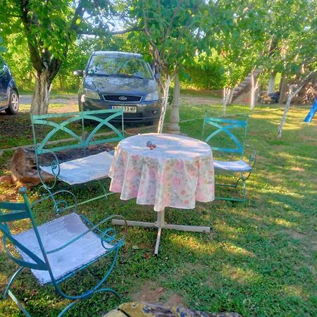 Apartment Noletov Vidikovac ヴルドニーク エクステリア 写真