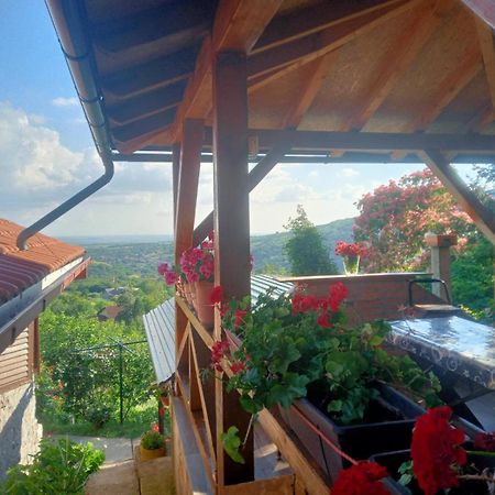 Apartment Noletov Vidikovac ヴルドニーク エクステリア 写真
