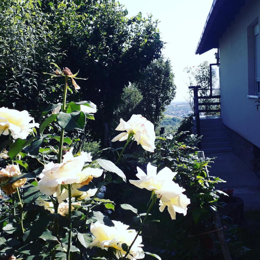 Apartment Noletov Vidikovac ヴルドニーク エクステリア 写真