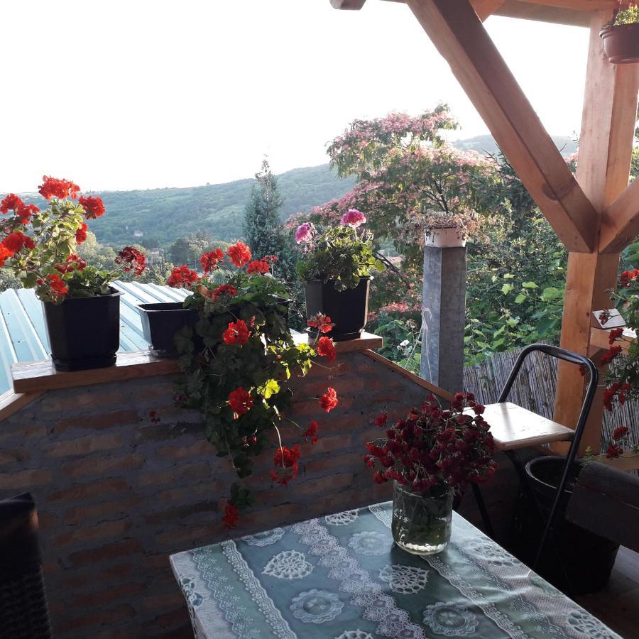 Apartment Noletov Vidikovac ヴルドニーク エクステリア 写真