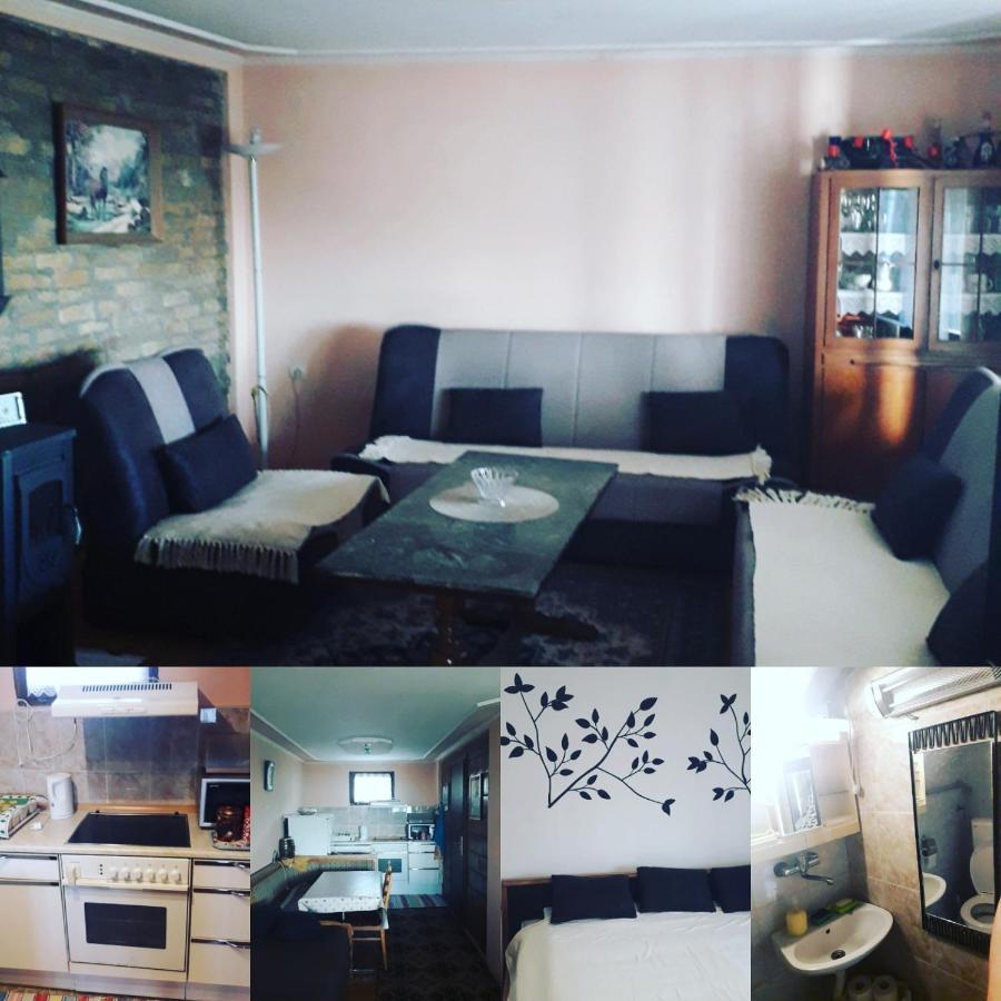 Apartment Noletov Vidikovac ヴルドニーク エクステリア 写真
