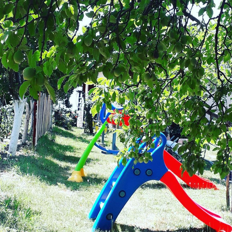 Apartment Noletov Vidikovac ヴルドニーク エクステリア 写真