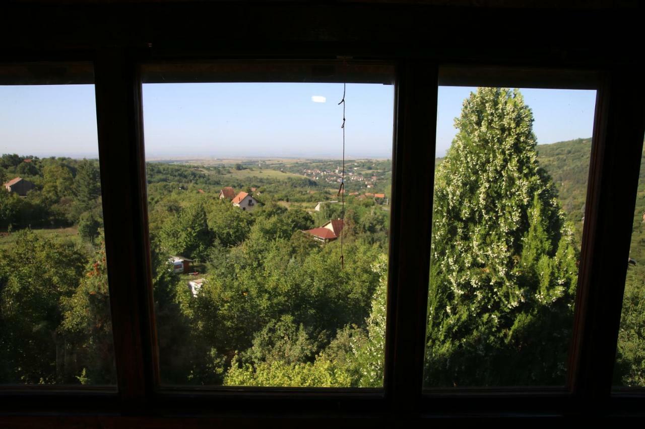Apartment Noletov Vidikovac ヴルドニーク エクステリア 写真