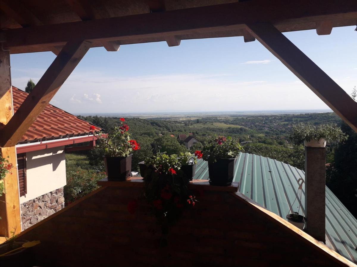 Apartment Noletov Vidikovac ヴルドニーク エクステリア 写真