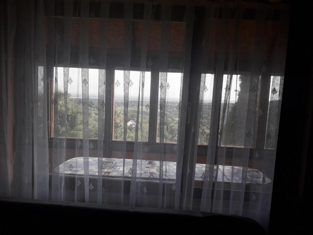 Apartment Noletov Vidikovac ヴルドニーク エクステリア 写真