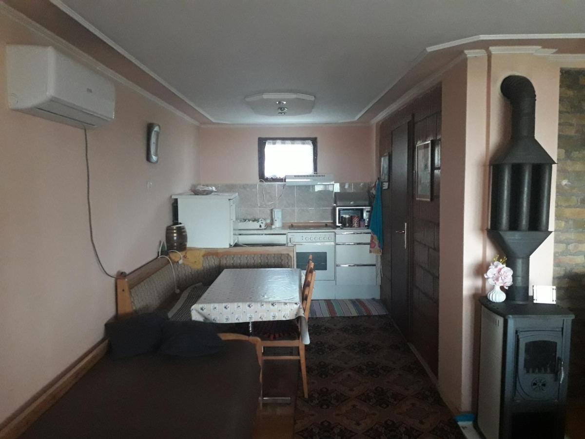 Apartment Noletov Vidikovac ヴルドニーク エクステリア 写真